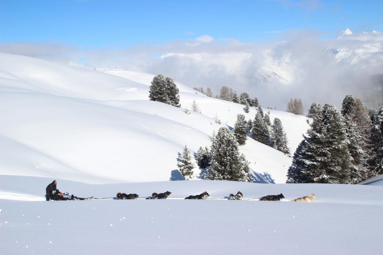 Chalet Bouquetin- Aigle Royal Διαμέρισμα La Plagne Εξωτερικό φωτογραφία